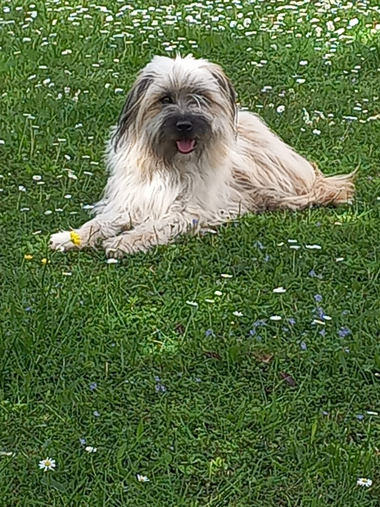 IMG-20230911-WA0009.jpg 15057-0