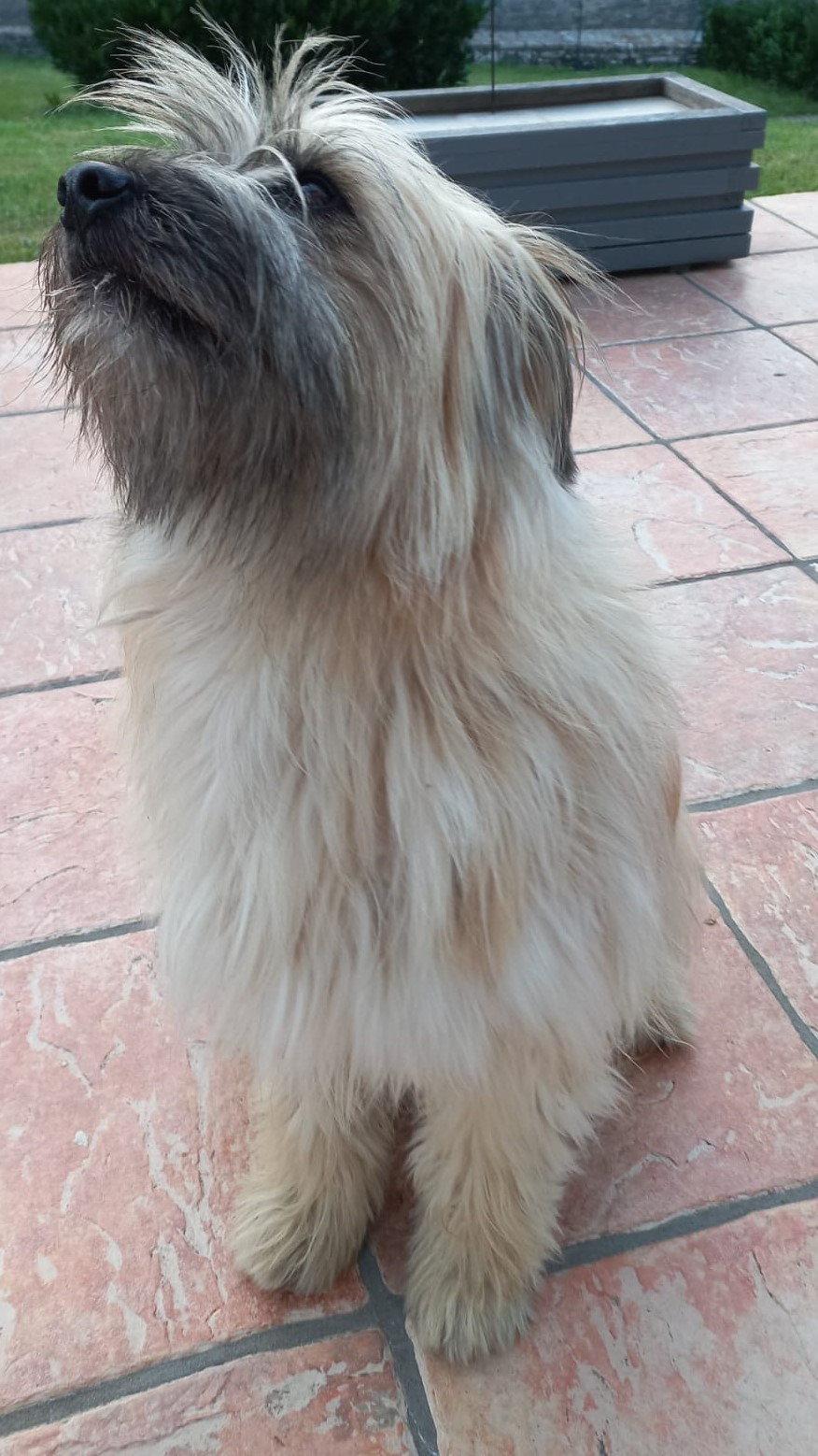 IMG-20230911-WA0015.jpg 15058-1