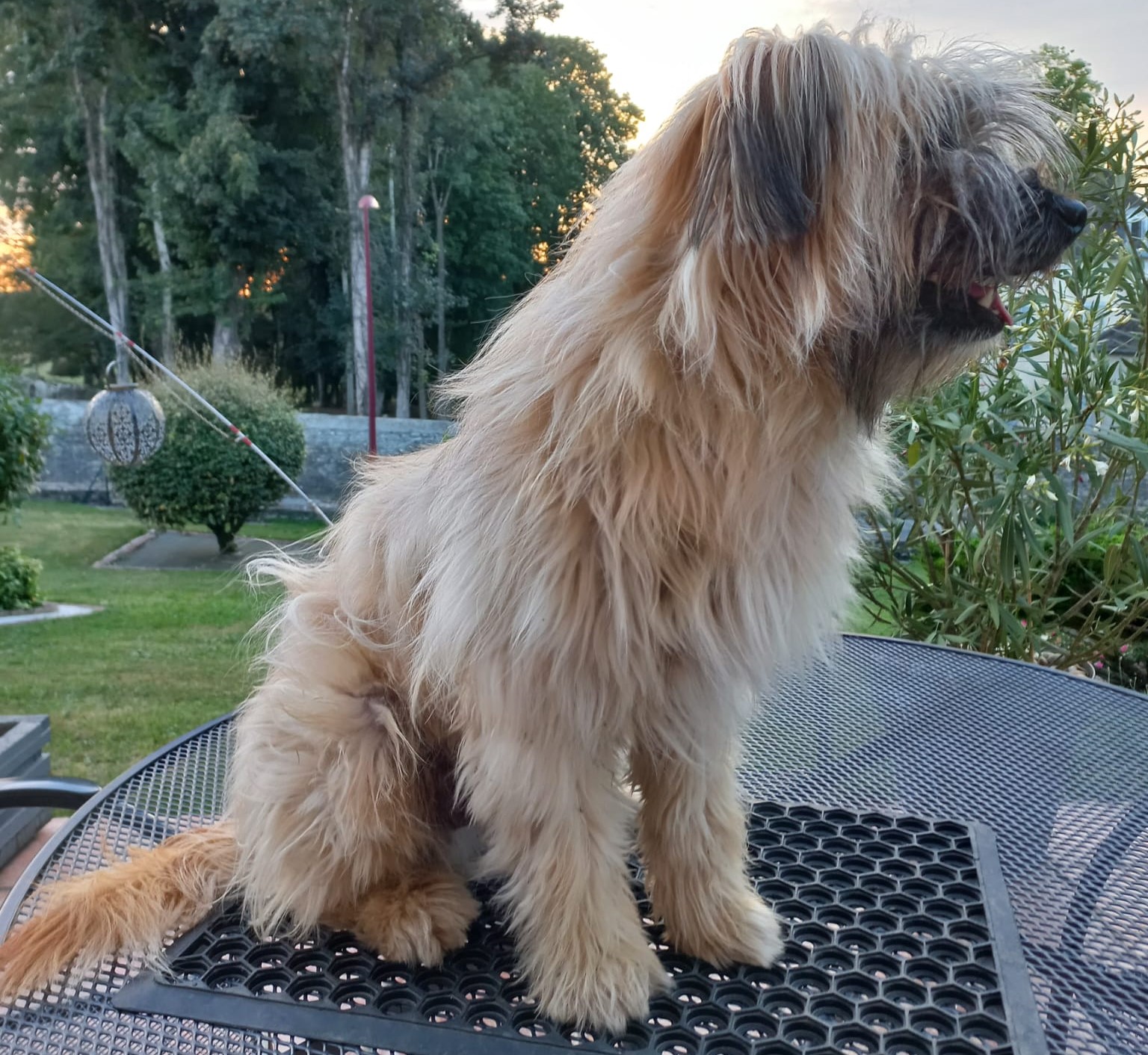 IMG-20230911-WA0017.jpg 15059-2