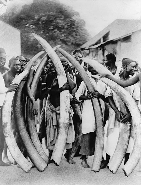 File:Ivory trade.jpg height=599